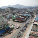 금산인삼농업협동조합 이미지