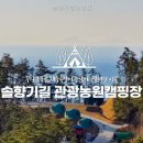 솔향기길야영장