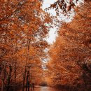 가을이네 이미지