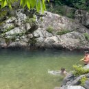 오토오아시스 친절한 양산점 | 양산 배내골산책로캠핑장 후기｜수심 깊은 계곡 캠핑장 카니발 차박 명당 🌊