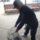 독도바다낚시터 이미지