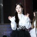 개예쁨 이미지