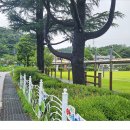 상시동1리 Daum카페