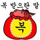 브이아이피썬팅
