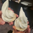 프롬커피㈜ | 양정 시청칼국수, 양정곱창 밀양상회, 기장매화원, 영도목련나무,프롬강릉커피사탕, 남포동 하쿠더갓포 등)
