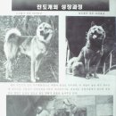 황구네 Daum카페
