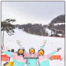 나 네이버블로그