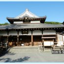 청수사 (일본 교토) , 도톤보리 ( 일본 오사카관광) 이미지
