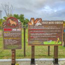 돌실공원 이미지