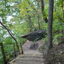 생거진천행정사 이미지