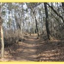 현대조은주유소 이미지