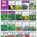 한양할인마트 - 이천시 증신로25번길 75 | 한양할인마트