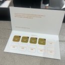 청담포레브의원 | 청담포레브의원 울쎄라400샷 비수면 후기 및 통증