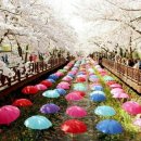 로망스안경 이미지