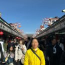 멍 때리는 전망대 | 도쿄 여행 파워J 계획표 (전망대, 센소지, 아키하바라, 신주쿠)