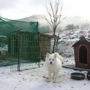 딸부잣집 펜션 이미지