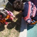 백합어린이공원 이미지