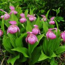 복주머니 이미지