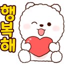 모모애견미용실 이미지