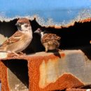 무선경로당 이미지