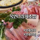 [양재 참치] 옥언니참치초밥에서 참치즐겨보자아 !