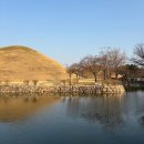 목련민박 | 경주 1박2일 여행 코스 추천 대릉원 목련 개화시기 야경명소 동궁과 월지 후기