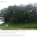 송전 버스터미널 이미지