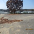 두릉리경로당 이미지