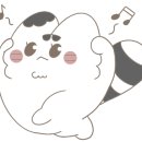 빙고 애견카페 네이버블로그