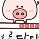 카츠를담다 이미지