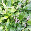 금강수목원(아) 이미지