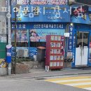 환태평양참치