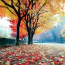 Sue Thompson - Sad Movies/Michael Jackson - Billie Jean 이미지