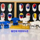 용인대학교강력유도관 이미지