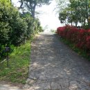 서호동-73 이미지