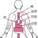 부항요법의 효는및 사용 법 이미지