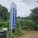 남양동물보호센터