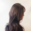 신흥미용실 - 순천시 | 신흥미용실