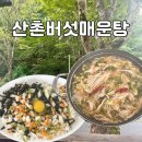 수내3동 소로6 | [성남] 산촌 버섯 매운탕, 시원한 국물에 버섯 가득 로컬맛집 내돈내산
