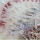 직거래 회 수산 이미지