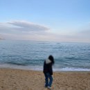 중앙카라이프 | 광주 렌트카 쏘카 할인 쿠폰 부름 전기차 꿀팁 강릉 여행