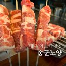 송군노양 이미지