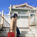 데일리하임 이미지