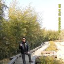 통리 솔밭해변 | 3/9,2012(금)서해안 돌아 남해안까지 여행 후기 2일차 No.1