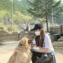 율푸드 Daum카페
