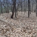 독산봉수지 이미지