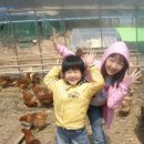 유빈농장 이미지