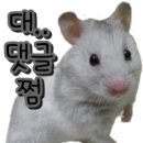 오물오물 이미지