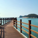 세종행정사사무소 이미지