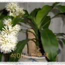 석이네집 이미지